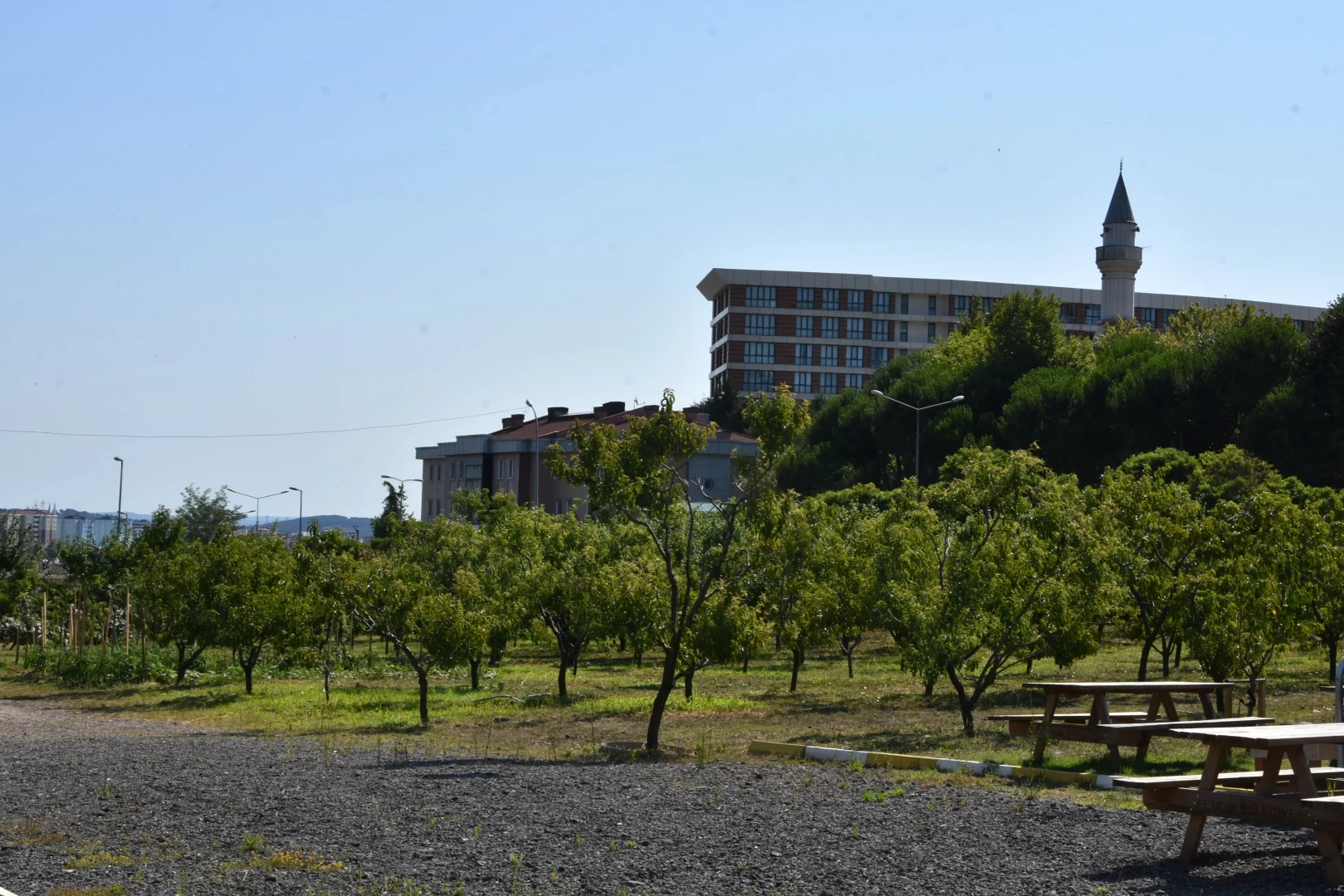 Çamlık Meyve Bahçesi Çevre Düzenlemesi