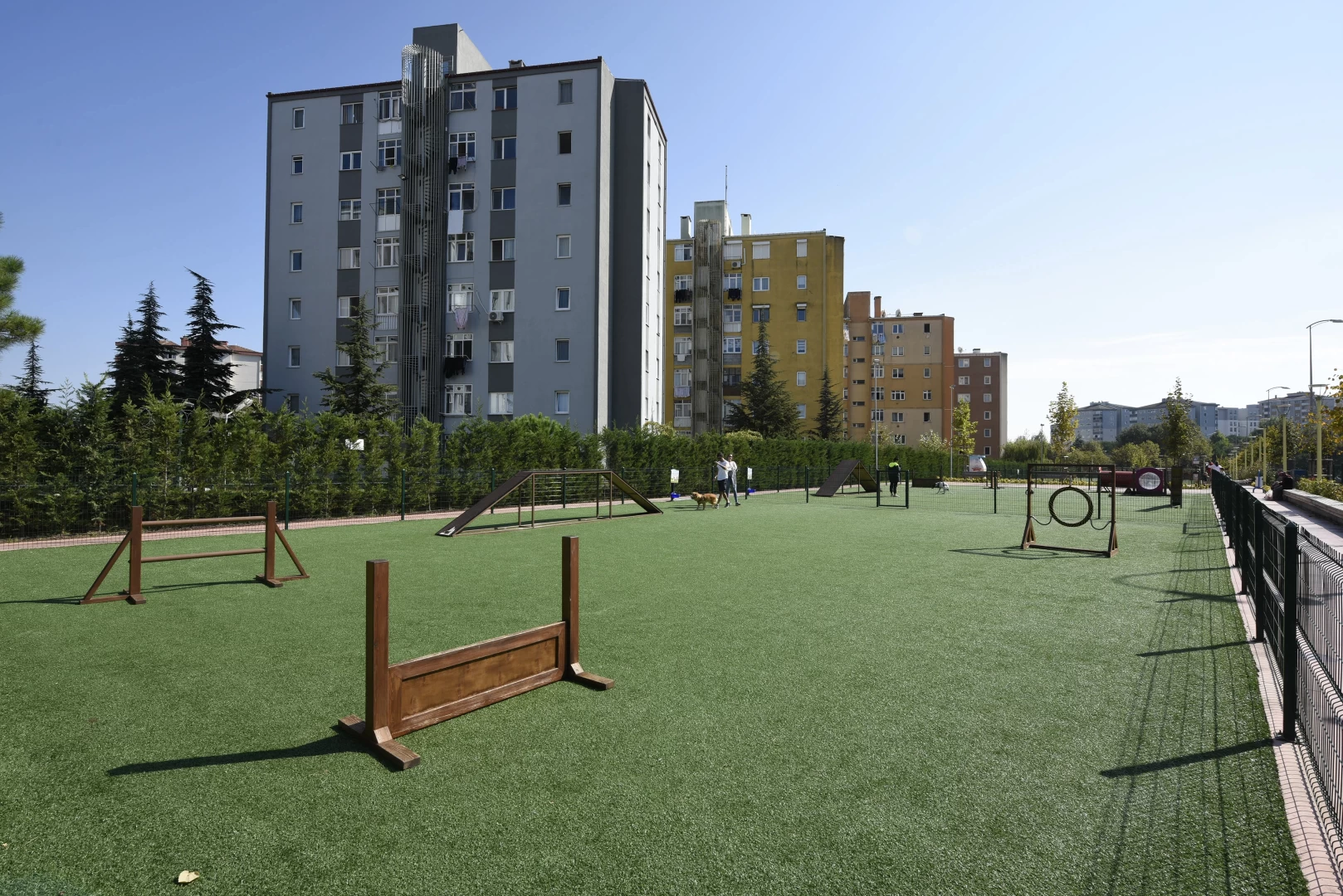 Neşeli Patiler Köpek Eğitim Parkı